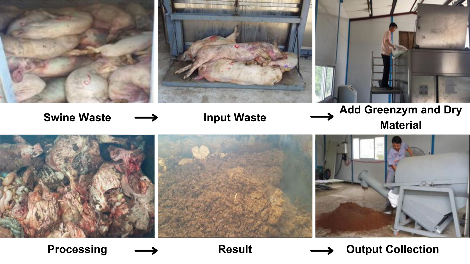 GDS Livestock Carcass Digester – GreenDay Biotech Inc